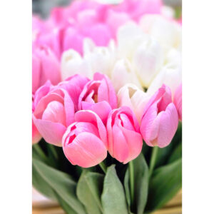 گل لاله لمسی وارداتی